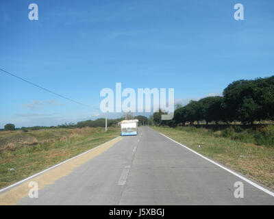 04776 Paddy fields Salapungan Roads Magumbali Candaba Pampanga  33 Stock Photo