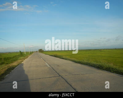 05438 Paddy fields Salapungan Roads Magumbali Candaba Pampanga  09 Stock Photo