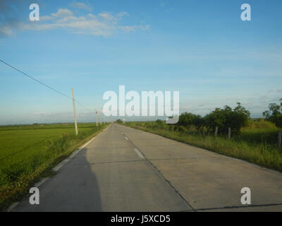 05438 Paddy fields Salapungan Roads Magumbali Candaba Pampanga  19 Stock Photo