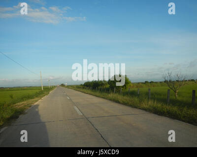 05438 Paddy fields Salapungan Roads Magumbali Candaba Pampanga  22 Stock Photo