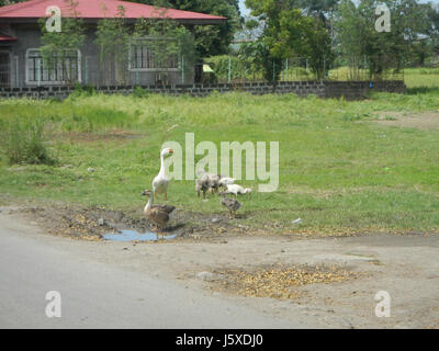 04863 Construction Sitio Palanas Bagong Barrio Pandi, Bulacan Farm Market Road  27 Stock Photo