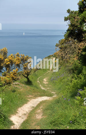 North Devon seascape viewed from the Coast path Stock Photo