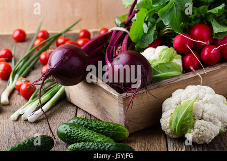 Harvest still life. Food composition of fresh organic vegetables variety,  beetroots, cucumbers, cauliflower and rudishes on rustic wooden table Stock Photo