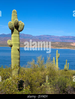 Theodore Roosevelt Lake, Arizona Stock Photo