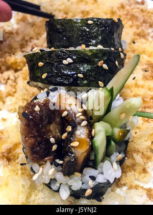 Rolls with fish and cucumber with sesame and crispy breading. Studio Photo Stock Photo