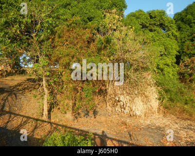 0351 Pokpokan Bridge San Rafael Angat River Pasong Bangkal San Ildefonso Bulacan  02 Stock Photo