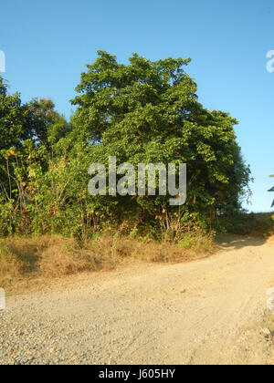 0351 Pokpokan Bridge San Rafael Angat River Pasong Bangkal San Ildefonso Bulacan  25 Stock Photo