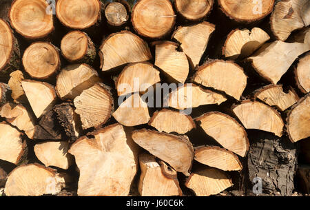 Log pile. A pile of newly cut logs ready for the fire Stock Photo