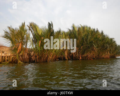 03735 River banks Panasahan Malolos City Bulacan  40 Stock Photo