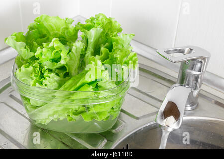 Fresh lettuce leaves soaked in transparent plastic bowl to remove pesticides residues, prepare for cooking. Healthy organic vegetable food, diet conce Stock Photo