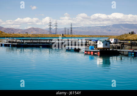 Lake Benmore Salmon Farm South Island New Zealand Stock Photo