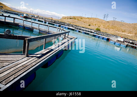 Lake Benmore Salmon Farm South Island New Zealand Stock Photo