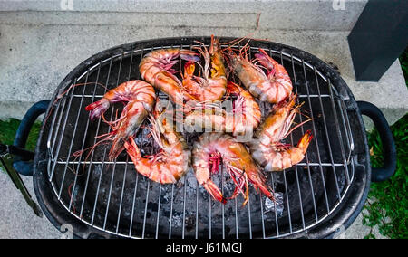 Large fresh royal prawns on the grill. Studio Photo Stock Photo