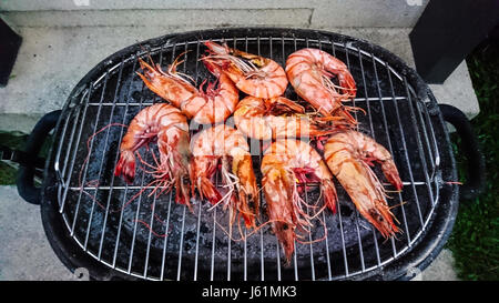 Large fresh royal prawns on the grill. Studio Photo Stock Photo