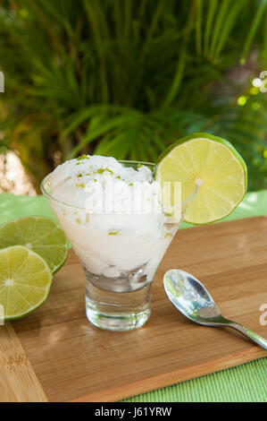 Dish of coconut lime sherbert outdoors by a palm tree Stock Photo
