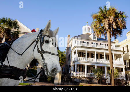 Charleston South Carolina,Historic District,preservation,The Battery,house home houses homes residence,house home houses homes residence mansio Stock Photo