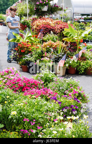 Indiana Chesterton,Chesterton Feed and Garden Center,centre,plant nursery,flower flowers,plants,horticulture,pots,landscaping,adult adults woman women Stock Photo