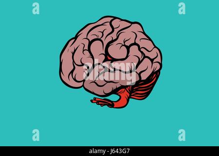 the human brain vector illustration. Comic book cartoon pop art retro color vector illustration hand drawn Stock Vector
