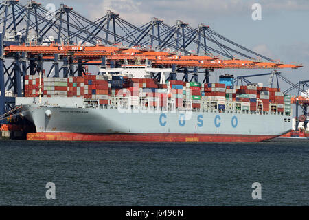 The container ship COSCO Netherlands is unloaded in the port of Rotterdam. Stock Photo