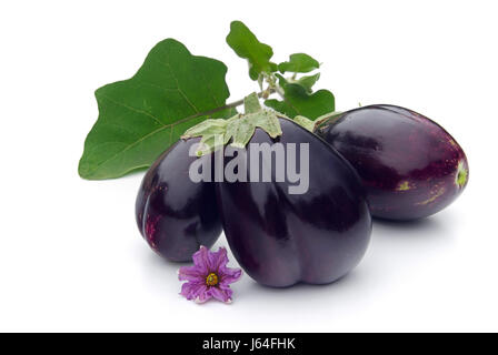 aubergine 07 Stock Photo