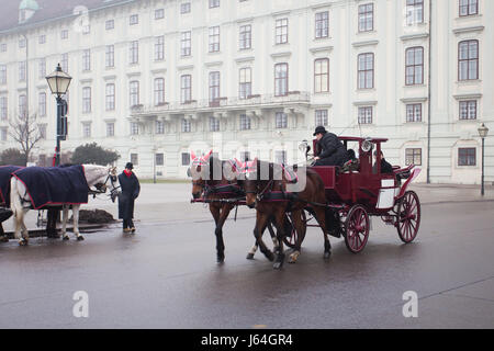 Carriage ridding on the streets of Vienna, Austia Stock Photo