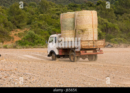 Old truck carries fodder rooftop in the countryside. Stock Photo