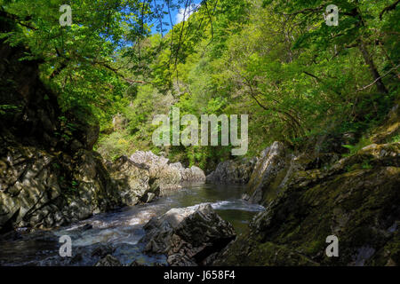 Afon Conwy flowing through the gorge below the Conway Falls. From its source high on the Migneint Moors, Llyn Conwy, Afon Conwy flows through the hist Stock Photo