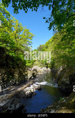 Afon Conwy flowing through the gorge below the Conway Falls. From its source high on the Migneint Moors, Llyn Conwy, Afon Conwy flows through the hist Stock Photo