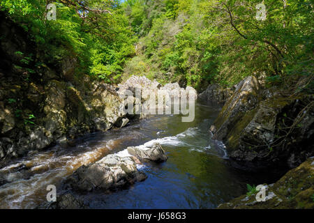 Afon Conwy flowing through the gorge below the Conway Falls. From its source high on the Migneint Moors, Llyn Conwy, Afon Conwy flows through the hist Stock Photo