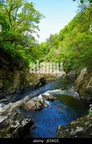 Afon Conwy flowing through the gorge below the Conway Falls. From its source high on the Migneint Moors, Llyn Conwy, Afon Conwy flows through the hist Stock Photo