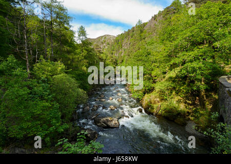 Afon Glaslyn flowing through the Aberglaslyn Pass in Snowdonia. From its source, Llyn Glaslyn' high up in the Snowdon Horseshoe, Afon Glaslyn flows in Stock Photo