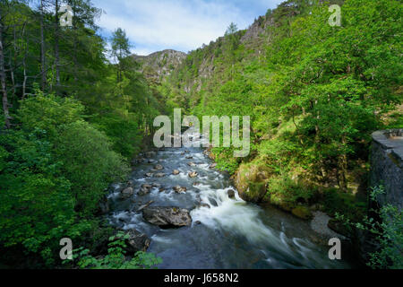 Afon Glaslyn flowing through the Aberglaslyn Pass in Snowdonia. From its source, Llyn Glaslyn' high up in the Snowdon Horseshoe, Afon Glaslyn flows in Stock Photo