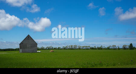 Barn in green grassy field at farm, Kensington, Prince Edward Island, Canada Stock Photo