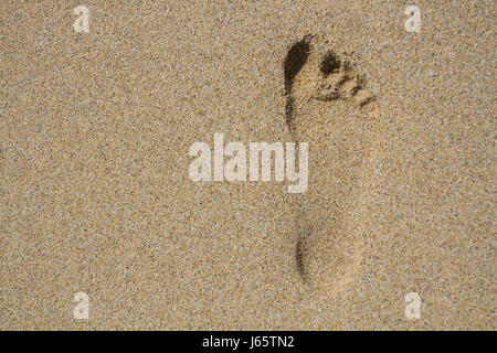 A single human footprint on a smooth sandy beach with copy space.