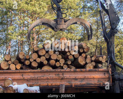 ozefow, Poland - January  23, 2017: A lorry  crane lift with a special handle carrying cut tree trunks Stock Photo