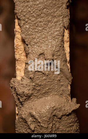 Flat renovation, master agrees brick on brick, says partition wall, mortar on bricks Stock Photo