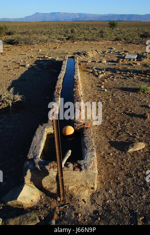 A water trough in a dry and arid landscape for animals to drink from Stock Photo