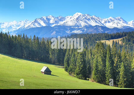 Sunny day in picturesque valley. Blue sky over white snowy mountain peaks. Green valley at Alpine foothill. Picturesque summer background. Stock Photo