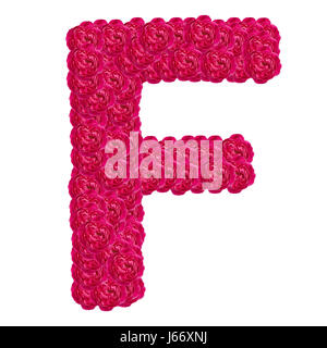 Letter F alphabet with damask rose  ABC concept type as logo isolated on white background Stock Photo