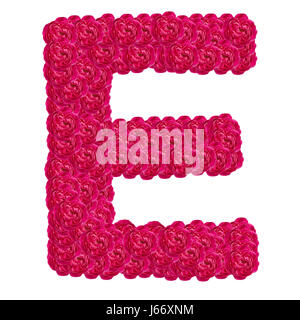 Letter E alphabet with damask rose  ABC concept type as logo isolated on white background Stock Photo