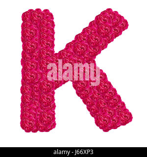 Letter K alphabet with damask rose  ABC concept type as logo isolated on white background Stock Photo
