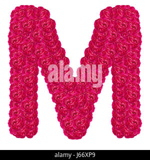 Letter M alphabet with damask rose  ABC concept type as logo isolated on white background Stock Photo