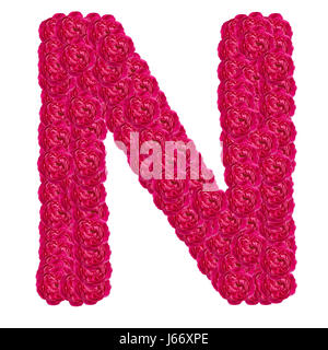 Letter N alphabet with damask rose  ABC concept type as logo isolated on white background Stock Photo
