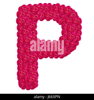 Letter P alphabet with damask rose  ABC concept type as logo isolated on white background Stock Photo
