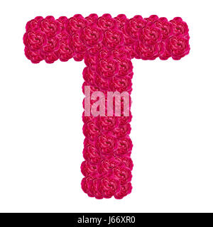 Letter T alphabet with damask rose  ABC concept type as logo isolated on white background Stock Photo