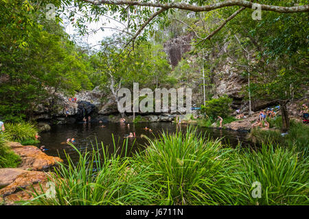 Kondalilla Falls, AUS - JAN 21 2017 - People enjoying hot day in rainforest Kondalilla Falls swimming hole, Queensland, Australia Stock Photo