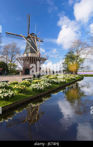 Windmill at Keukenhof Gardens, Lisse, Netherlands Stock Photo