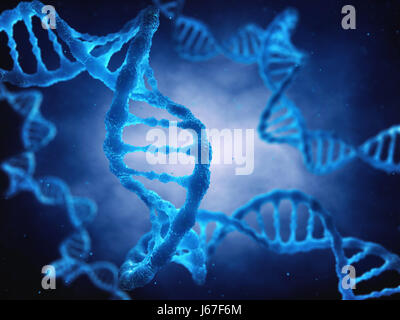 The DNA double helix molecule is the genetic blueprint for life , Molecular genetics Stock Photo