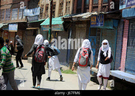 Anantnag, India. 19th May, 2017. Kashmir Girl Students pelting stones on Security forces in Anantnag after Friday Prayers. Credit: Muneeb Ul Islam/Pacific Press/Alamy Live News