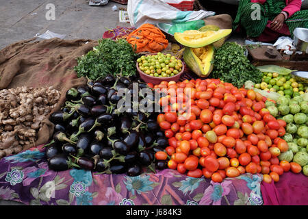 JAIPUR, INDIA - FEBRUARY 16: Selling fruit and vegetables by the side of the road in Jaipur, Rajasthan, India on February 16, 2016. Stock Photo